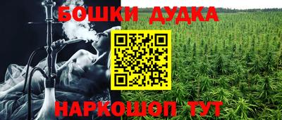 марихуана Новозыбков