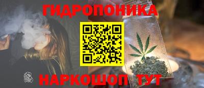 марихуана Новозыбков