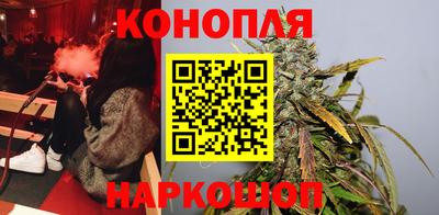 прущие грибы Новодвинск