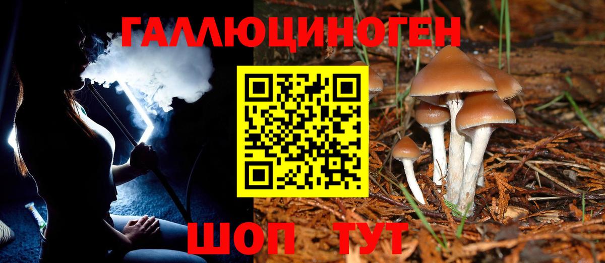 Псилоцибиновые грибы GOLDEN TEACHER  Вход с VPN  цены   Соликамск 